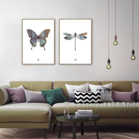 Dragon Fly | PLAKAT Plakat MF