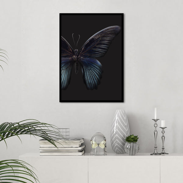 Black Butterfly | PLAKAT Plakat MF