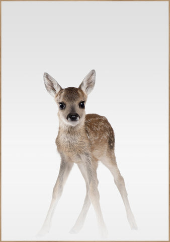 Misty Deer | INDRAMMET BILLEDE Indrammet billede MF