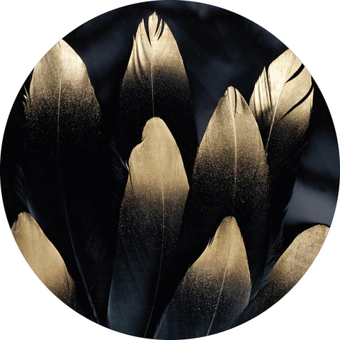 Golden feather | CIRCLE ART Circle Art ART COPENHAGEN