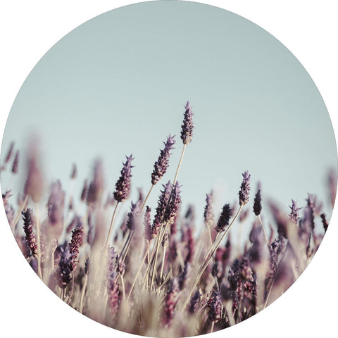 Field haze | CIRCLE ART Circle Art ART COPENHAGEN