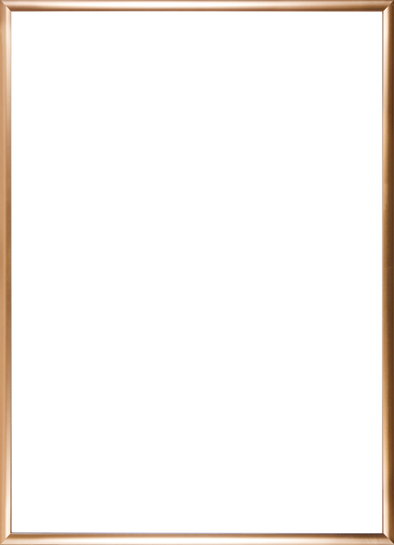 Guldramme / 30x40 Ramme ART COPENHAGEN