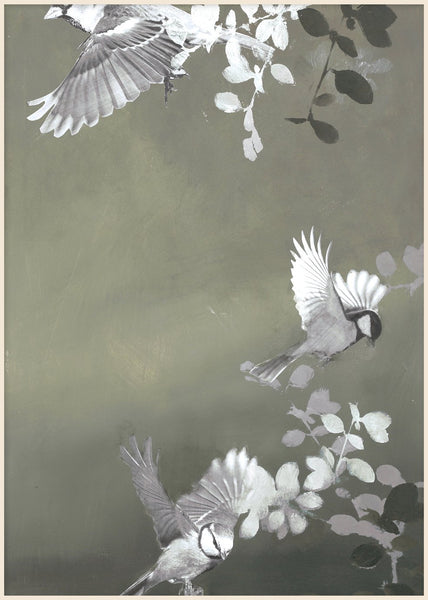 Bird4 | PLAKAT Plakat MF