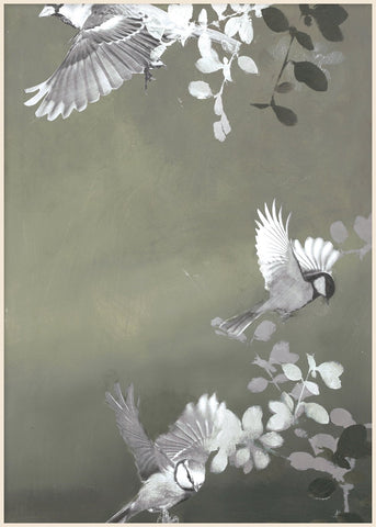 Bird4 | PLAKAT Plakat MF