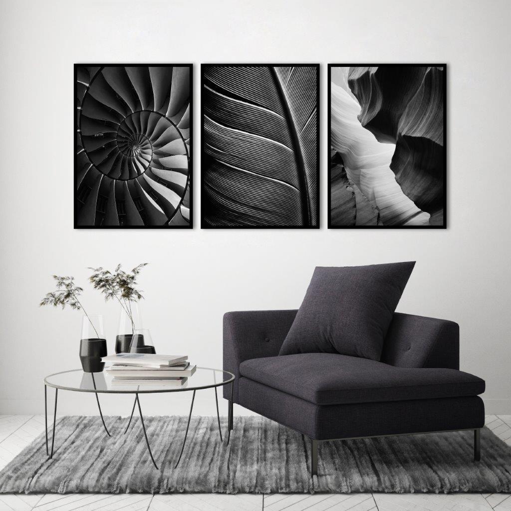 Black feather | PLAKAT Plakat MF