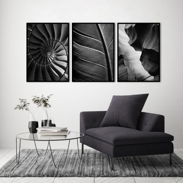 Black feather | PLAKAT Plakat MF