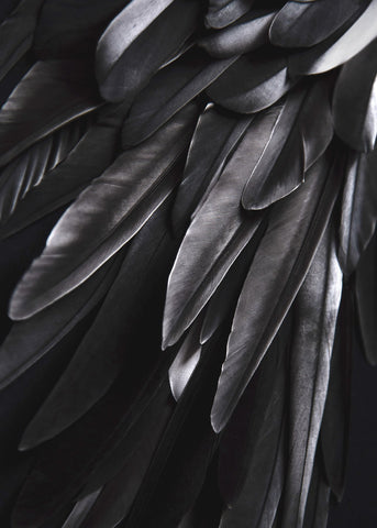 Black wing | PLAKAT Plakat MF