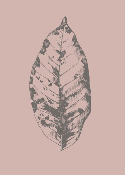 Botanica-1 | PLAKAT Plakat MF