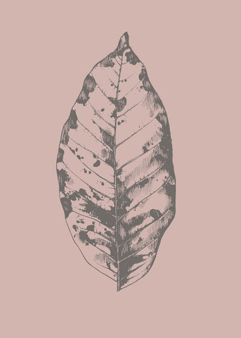 Botanica-1 | PLAKAT Plakat MF