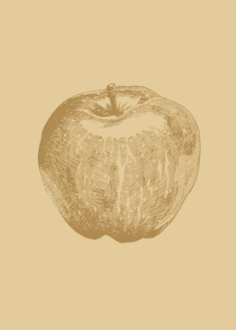 Botanica-4 | PLAKAT Plakat MF