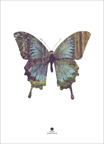 Butterfly | PLAKAT Plakat MF