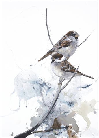 Curiosity 1 | PLAKAT Plakat MF