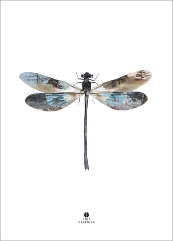 Dragon Fly | PLAKAT Plakat MF
