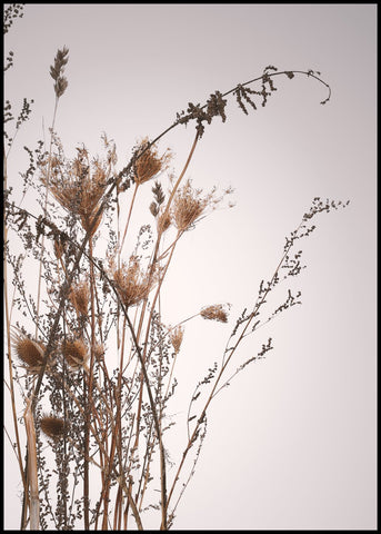 Everlasting | INDRAMMET BILLEDE Indrammet billede MF 30x40 Sort