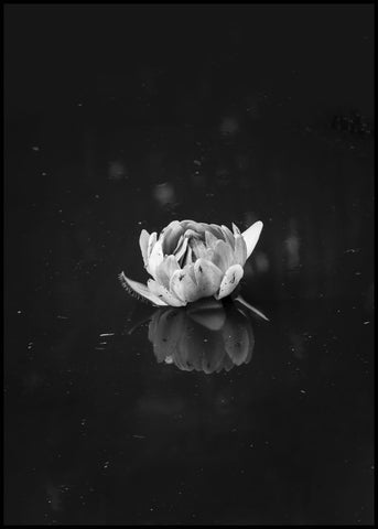 Floating 2 | INDRAMMET BILLEDE Indrammet billede MF