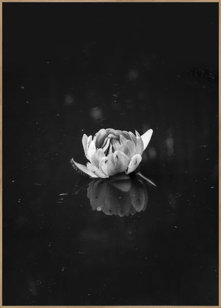 Floating 2 | INDRAMMET BILLEDE Indrammet billede MF