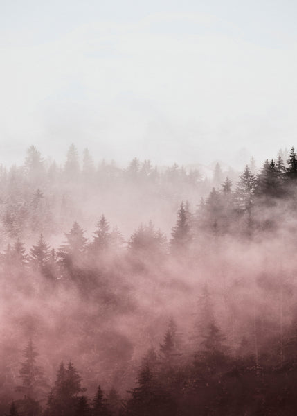 Foggy red | INDRAMMET BILLEDE Indrammet billede MF