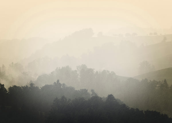 Foggy yellow | INDRAMMET BILLEDE Indrammet billede MF