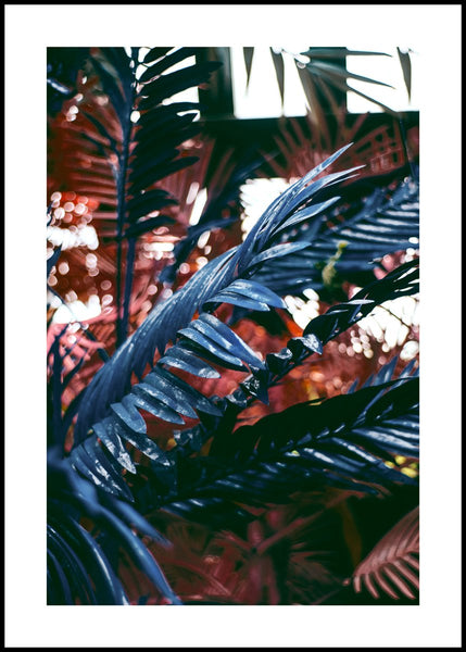 Funky jungle 2 | INDRAMMET BILLEDE Indrammet billede MF 30x40 Sort