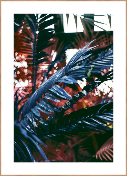 Funky jungle 2 | INDRAMMET BILLEDE Indrammet billede MF 30x40 Egeramme