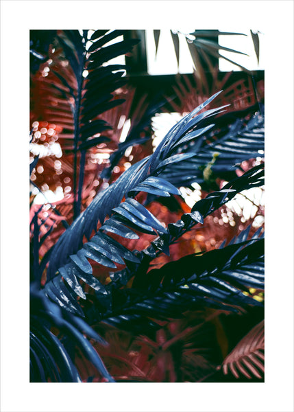 Funky jungle 2 | PLAKAT Plakat MF