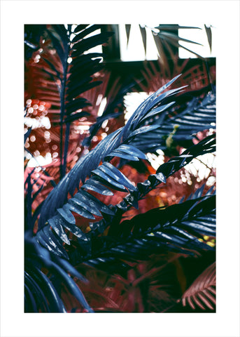 Funky jungle 2 | PLAKAT Plakat MF