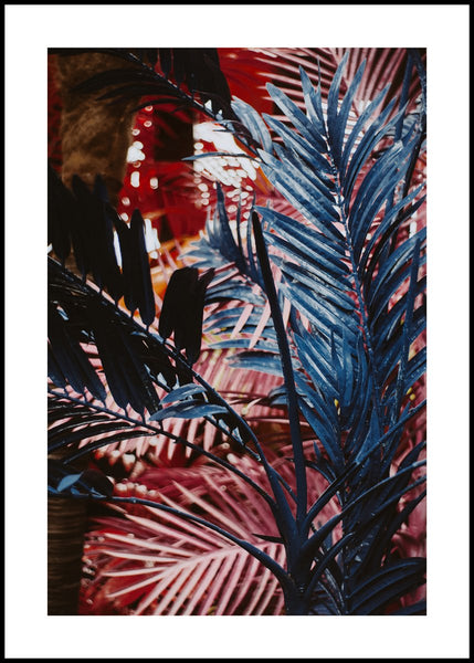Funky jungle | INDRAMMET BILLEDE Indrammet billede MF 30x40 Sort