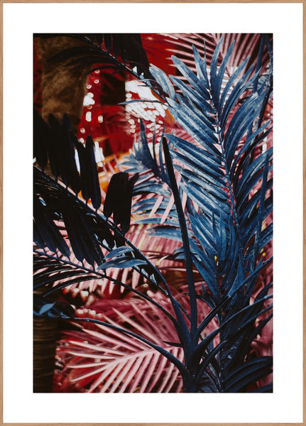 Funky jungle | INDRAMMET BILLEDE Indrammet billede MF 30x40 Egeramme