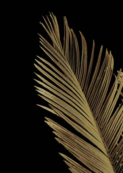 Golden palm 1 | PLAKAT Plakat MF