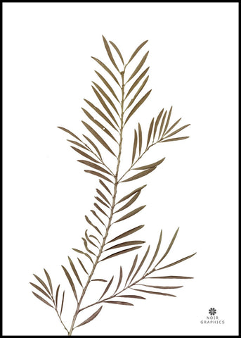 Grace 2 | INDRAMMET BILLEDE Indrammet billede MF 30x40 Sort