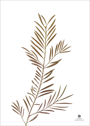 Grace 2 | PLAKAT Plakat MF