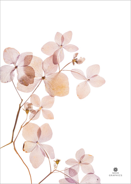 Grace 3 | PLAKAT Plakat MF