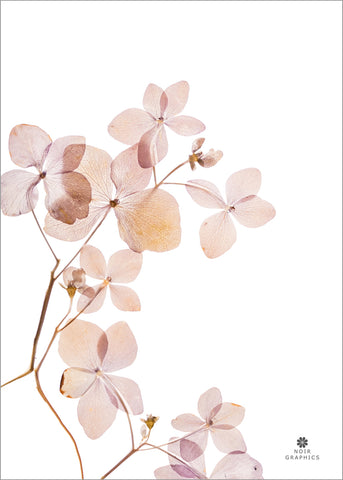 Grace 3 | PLAKAT Plakat MF