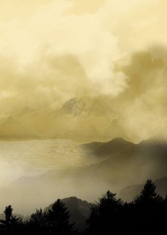 Holy land 2 | PLAKAT Plakat MF