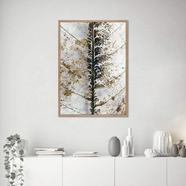 Close up | PLAKAT Plakat MF