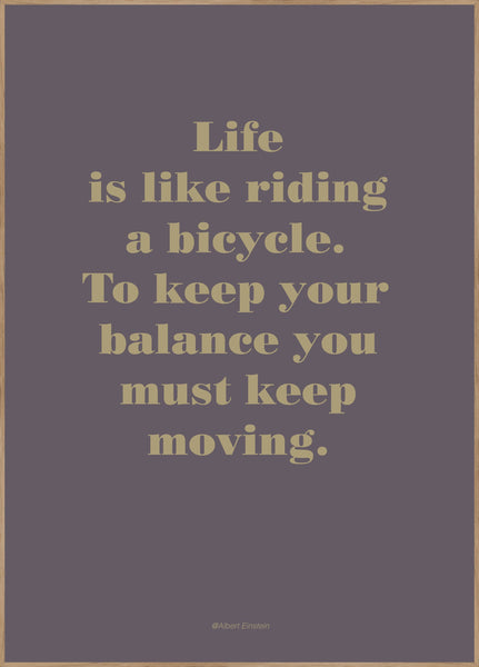Life is like | INDRAMMET BILLEDE Indrammet billede MF 30x40 Egeramme