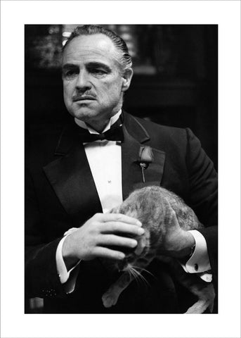Marlon Brando 2 | PLAKAT Plakat MF