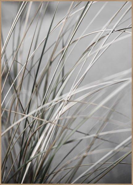 Mellow Grasses 1 | INDRAMMET BILLEDE Indrammet billede MF 30x40 Egeramme