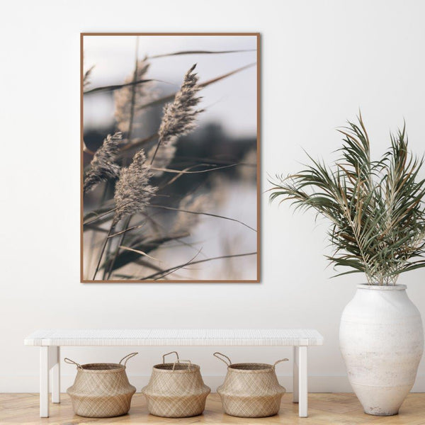 Mellow Grasses 3 | PLAKAT Plakat MF