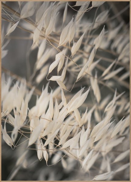 Mellow Grasses 4 | INDRAMMET BILLEDE Indrammet billede MF 30x40 Egeramme