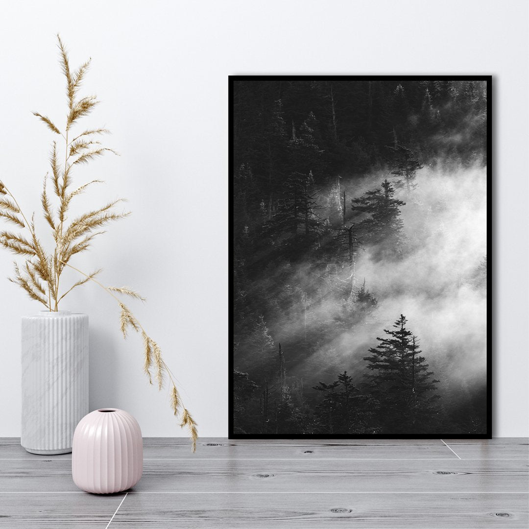 Misty pine woods | PLAKAT Plakat MF
