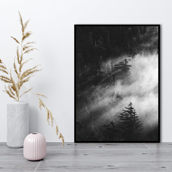 Misty pine woods | PLAKAT Plakat MF