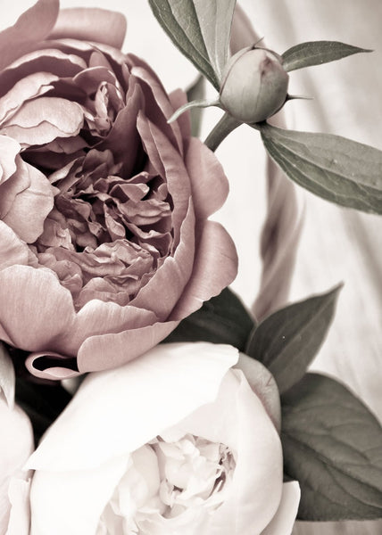 Opulent 2 | PLAKAT Plakat MF