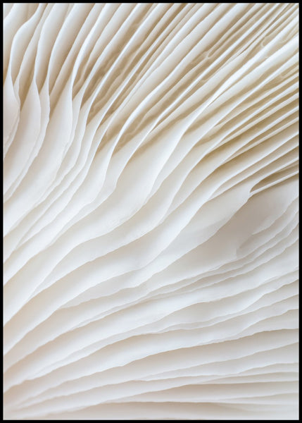 Organic Lines 2 | INDRAMMET BILLEDE Indrammet billede MF 30x40 Sort
