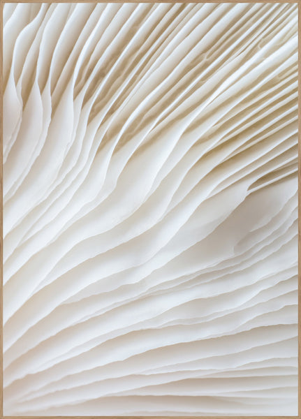 Organic Lines 2 | INDRAMMET BILLEDE Indrammet billede MF 30x40 Egeramme