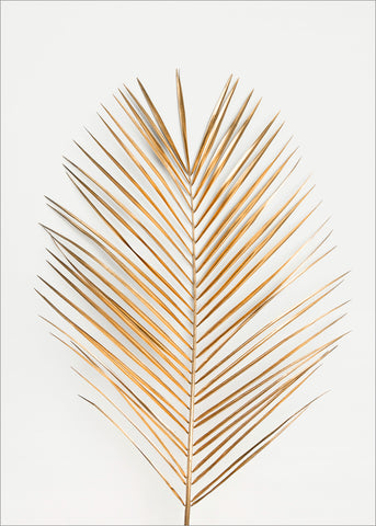 Palm Leaf Gold | PLAKAT Plakat MF