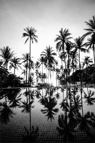 Palm Trees | PLAKAT Plakat MF