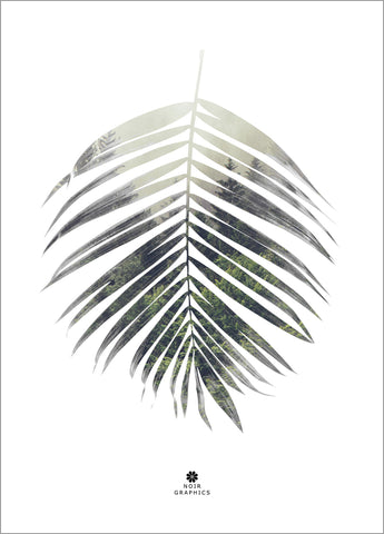 Palm Leaf | PLAKAT Plakat MF