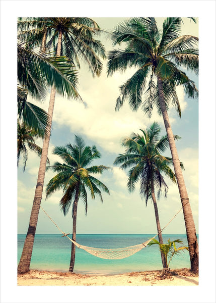 Palm sky 3 | PLAKAT Plakat MF