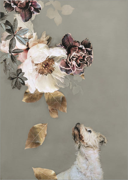 Pet Couture 2 | PLAKAT Plakat MF